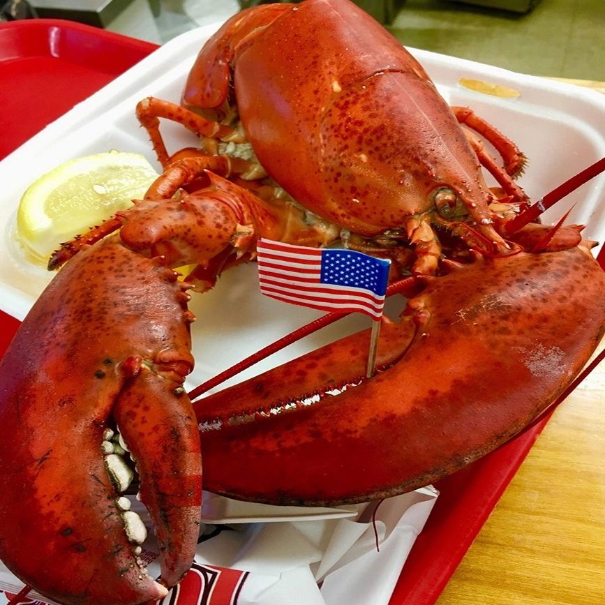 Carrier's Mainely Lobster